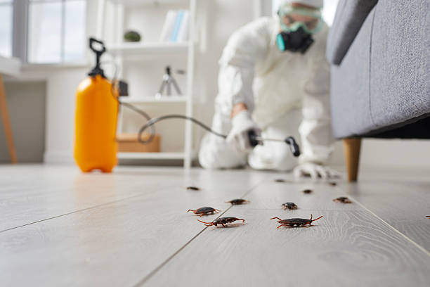 Commercial Kitchen Cockroach Control in Ontonagon